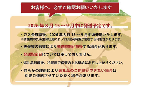 <2026年8月以降発送>とよみつひめ 4パック約1200gセット(福岡市)