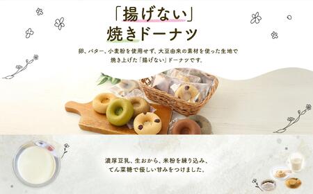 グルテンフリー＆ヴィーガンSOYドーナツ12個セット (6種×2個)（クランベリー、八女抹茶、黒ごま、きなこ、アールグレイ、ショコラ） 福岡市内製造