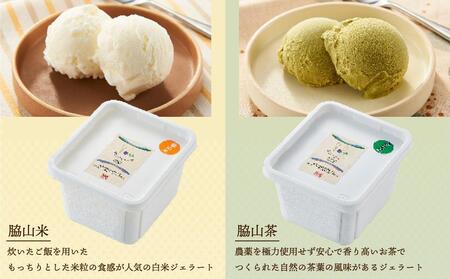 脇山ジェラート2種類セット