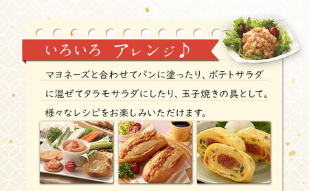 【最短3日発送】博多辛子めんたい粉 かねふく明太子使用のふりかけ (40g入×10袋)常温保存 井口食品 いのくち 常温 明太子 アレンジ 時短 料理 めんたいこ