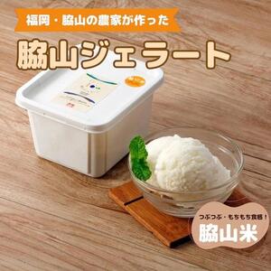脇山ジェラート（脇山米）500ml 福岡市内製造