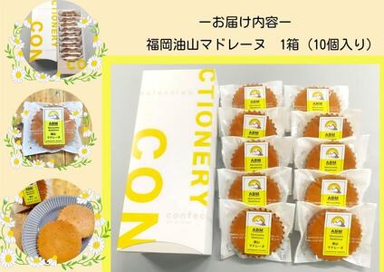 福岡油山 マドレーヌ 10個入り