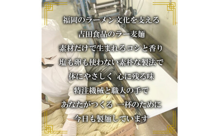 【福岡ラー麦・生麺使用】吉田食品の博多ラーメン8食セット（とんこつ×4・濃口とんこつ×2・トマト×1・担々×1）
