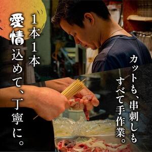 博多居酒屋のんちゃん人気メニューセット(焼き鳥詰め合わせ(8本セット)、焼餃子(10個入り)、とん足(150g)、焼きラーメン(350g) 各1パック)