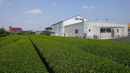 【博多大丸おすすめ品】福岡八女茶75g×6本セット