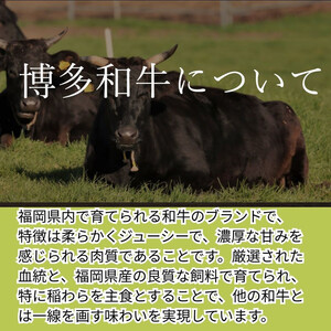 【博多和牛１００％使用】お肉屋さんの手ごねジューシー生ハンバーグ180ｇ×8個