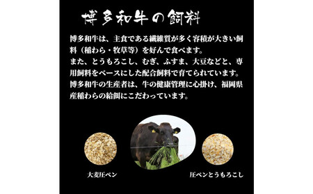 博多和牛シャトーブリアン 480g