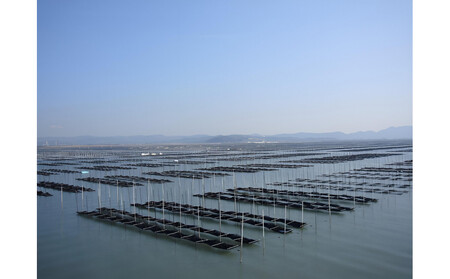 【福岡有明のり】本場福岡有明海栽培海苔　海王　一番摘み焼海苔[全形5枚入り7袋］