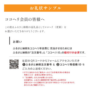 【福岡市】山岳捜索サービス「ココヘリ」　(ベーシック[更新1年])