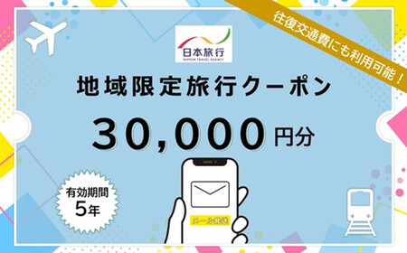 福岡県福岡市日本旅行地域限定旅行クーポン30,000円（Eメール発行）