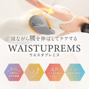 【福岡市】NIPLUX 腰ケア WAISTUPREMS