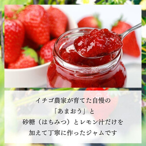 3種類のいちごジャム 無添加 あまおうイチゴ 200g×3袋 手作り 国産 チューブ パウチ入り
