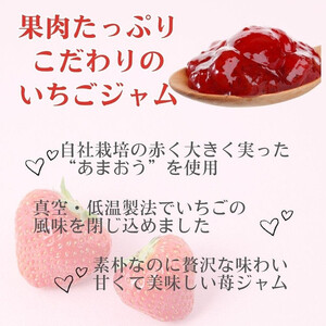 いちごジャム 無添加 あまおうとグラニュー糖のジャム 200g×3袋 手作り 国産 チューブ パウチ入り