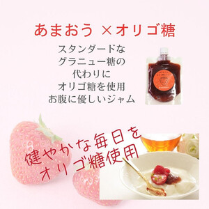 いちごジャム 無添加 あまおうとオリゴ糖のジャム 200g×3袋 手作り 国産 チューブ パウチ入り