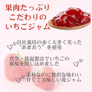 いちごジャム 無添加 あまおうとハチミツのジャム 200g×3袋 手作り 国産 チューブ パウチ入り