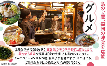 HISふるさと納税クーポン(福岡市)300,000円分