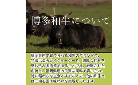 【博多和牛100%使用】お肉屋さんの手ごねジューシー生ハンバーグ180g×15個