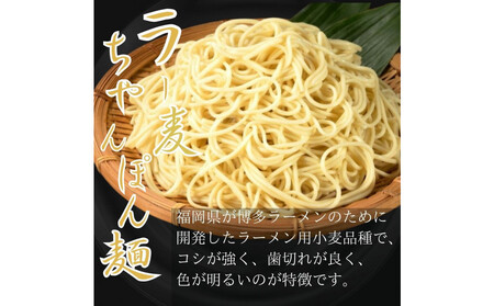 【10人前】博多の老舗醤油屋さんのこだわりスープのもつ鍋セット！！福岡特産ラー麦１００％使用のちゃんぽん麵付き