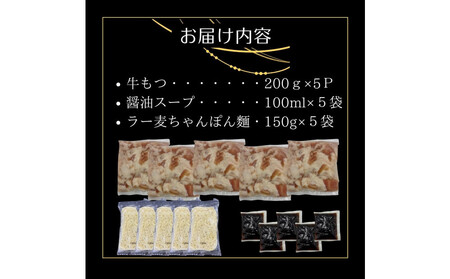 【10人前】博多の老舗醤油屋さんのこだわりスープのもつ鍋セット！！福岡特産ラー麦１００％使用のちゃんぽん麵付き