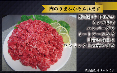 博多和牛 牛ミンチ約3kg(約500g×6パック)