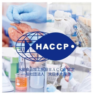 【定期便全6回】博多まるきた水産 辛子明太子(フレーク)1.5kg