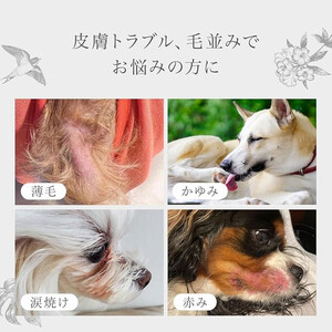 ミラネストゼリースティック FOR DOG 12g × 30本【福岡市】犬用