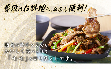 【A5-A4等級】 博多和牛切り落とし 1kg(500g×2)