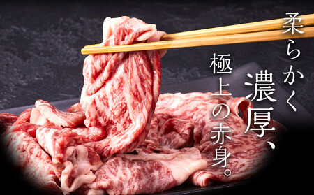 【A5-A4等級】 博多和牛切り落とし 1kg(500g×2)