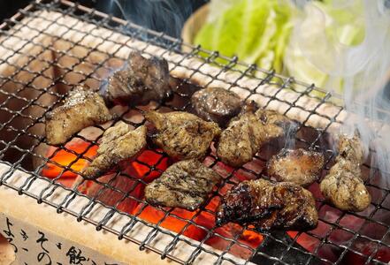 【博多大丸おすすめ品】はかた地どり 炭火焼セット100g×5