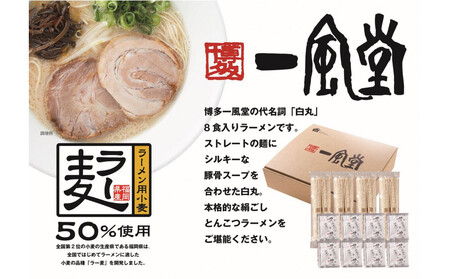 【豚骨ラーメン】「一風堂」白丸 ラー麦麺セット 合計16食分(1セット8食)×2セット