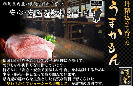 博多和牛 モモ焼肉用400g【福岡市】