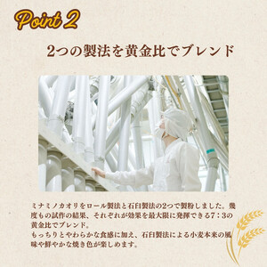 【福岡市内製造】あなたもパン屋さん! 福岡県産強力粉 1.2kg入×5袋セット(6kg)