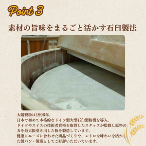 【福岡市内製造】あなたもパン屋さん! 福岡県産強力粉 1.2kg入×5袋セット(6kg)