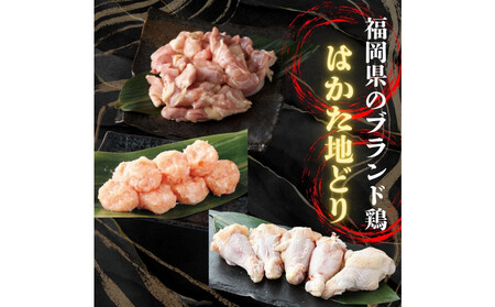 【福岡グルメ】はかた地どり使用博多水炊きセット３人～４人前