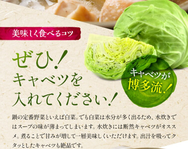 はかた地どり 水炊きセット (2~3人前)