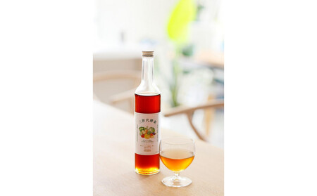 三世代酵素(福岡市返礼品) 1本500ml×2本セット