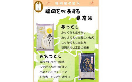 新米 福岡県産 夢つくし 5kg (5kg×1袋) (令和7年産)