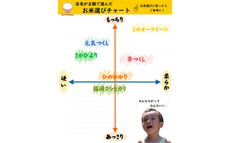 新米 福岡県産 夢つくし 5kg (5kg×1袋) (令和7年産)