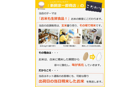 新米 福岡県産 夢つくし 5kg (5kg×1袋) (令和7年産)