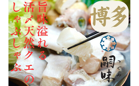 博多 嗣味 活〆天然クエのしゃぶしゃぶ 2~3人前