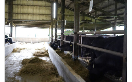 博多 嗣味 ほうさく和牛ローストビーフ味噌漬け 200g