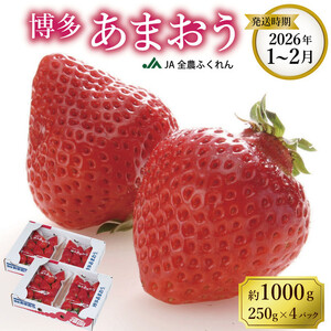 ＜2026年1月～２月発送＞博多あまおう約250ｇ×４