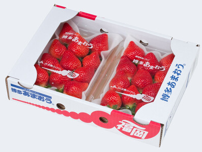 ＜2026年3月～4月発送＞博多あまおう約250ｇ×６