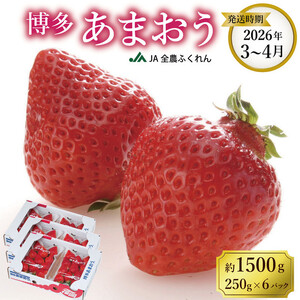＜2026年3月～4月発送＞博多あまおう約250ｇ×６