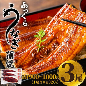 ふっくら大判うなぎ蒲焼 計約960g(約320g×3尾)