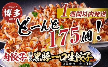 【175個!!】【福岡ブランド】博多黒豚一口生餃子 7パック小分　福岡県産ラー麦皮使用　創業40年以上福岡会社製造　【1週間以内に発送！】