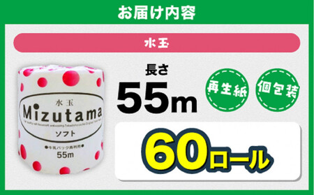 トイレットペーパー 水玉 55m×60個【福岡市】