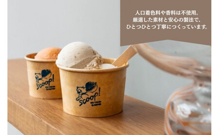 【福岡市】クラフトアイスクリーム6種詰め合わせ