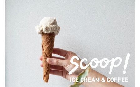 【福岡市】クラフトアイスクリーム6種詰め合わせ