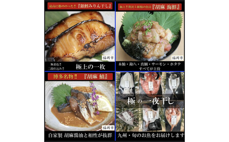 ワイズ商店の一夜干し旬魚4種とおすすめ商品詰め合わせBセット